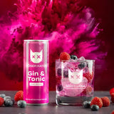 Böser Kater Gin & Tonic Pink Berry Geschmacksexplosion