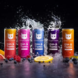 Böser Kater Ready to Drink Probierset