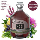 Sylter REED Sloe Gin - GiNFAMILY