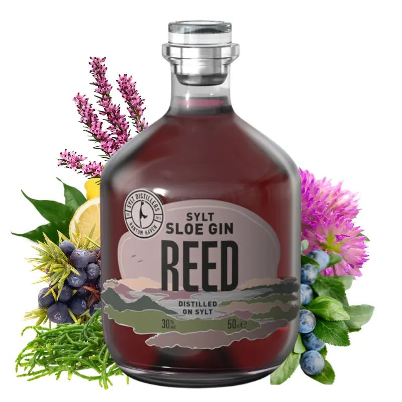 Sylter REED Sloe Gin - GiNFAMILY