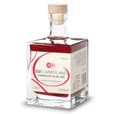 Cucumberland Hannover Sloe Gin - GiNFAMILY