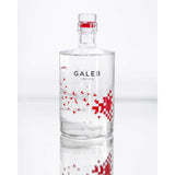 Galeb Dry Gin - GiNFAMILY