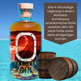 Layover Barbados Gin Gate B45 - GiNFAMILY