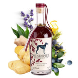 Windspiel Premium Sloe Gin - GiNFAMILY