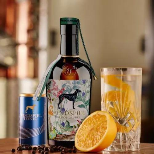 Kategoriebild alkoholfreie Gins - es zeigt den Windspiel alkoholfrei