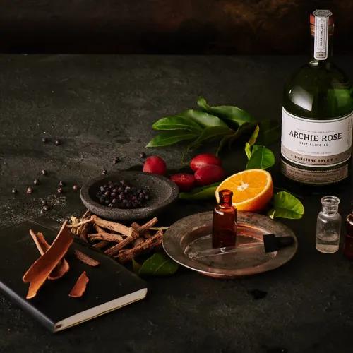 Kategoriebild Gin - es zeigt einen Gin mit Botanicals