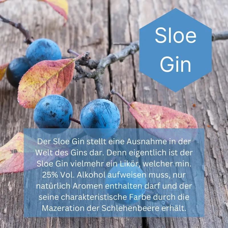 Kategoriebild Sloe Gin - es zeigt eine Flasche neeka Sloe Gin mit 2 Drinks