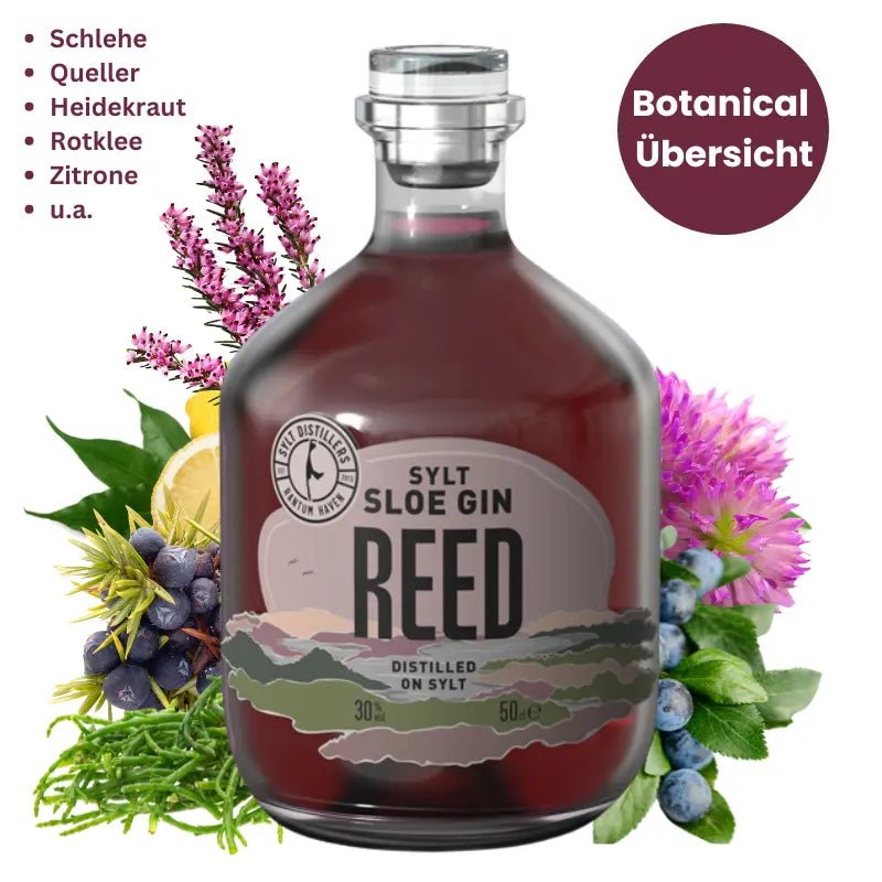 Sylter REED Sloe Gin - GiNFAMILY