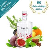 Galeb Dry Gin