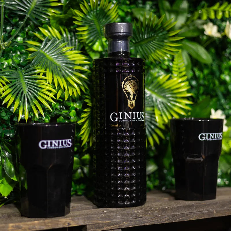 Ginius London Dry Gin mit 2 Drinks