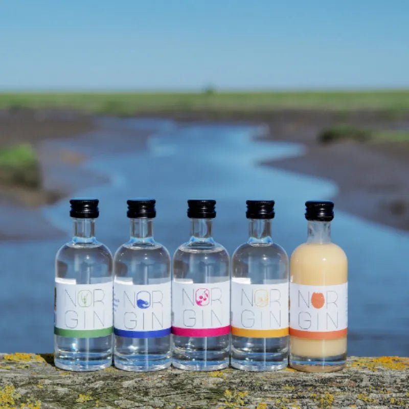 NORGIN Flaschenpost - Tasting Set