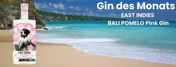 Startseitenbanner Gin des Monats Juli