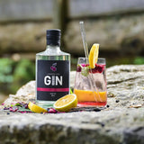 Gin 42929 - London Dry Gin - GiNFAMILY