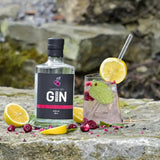 Gin 42929 - London Dry Gin - GiNFAMILY