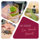 Gin 42929 - London Dry Gin - GiNFAMILY