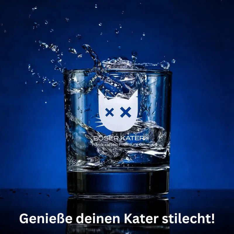 2er Bundle Böser Kater Farbwechsel Gin + Glas - GiNFAMILY