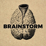 2er Bundle Brainstorm Gin + Brainstorm Rocks - GiNFAMILY