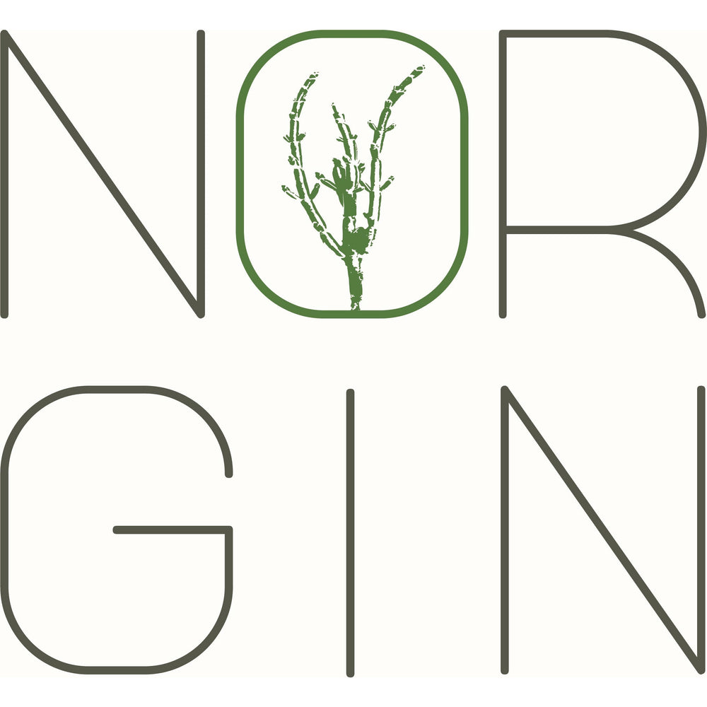 Logo NORGIN
