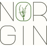 Logo NORGIN