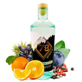 Black Forest 79 Artisan Gin - GiNFAMILY