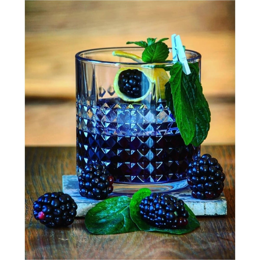 Böser Kater Blackberry Gin - GiNFAMILY