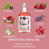 Breaks Rose Berry Gin - GiNFAMILY
