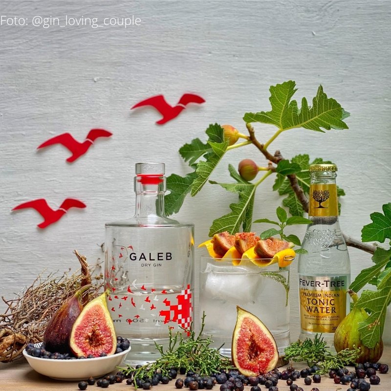 Galeb Dry Gin Perfect Serve