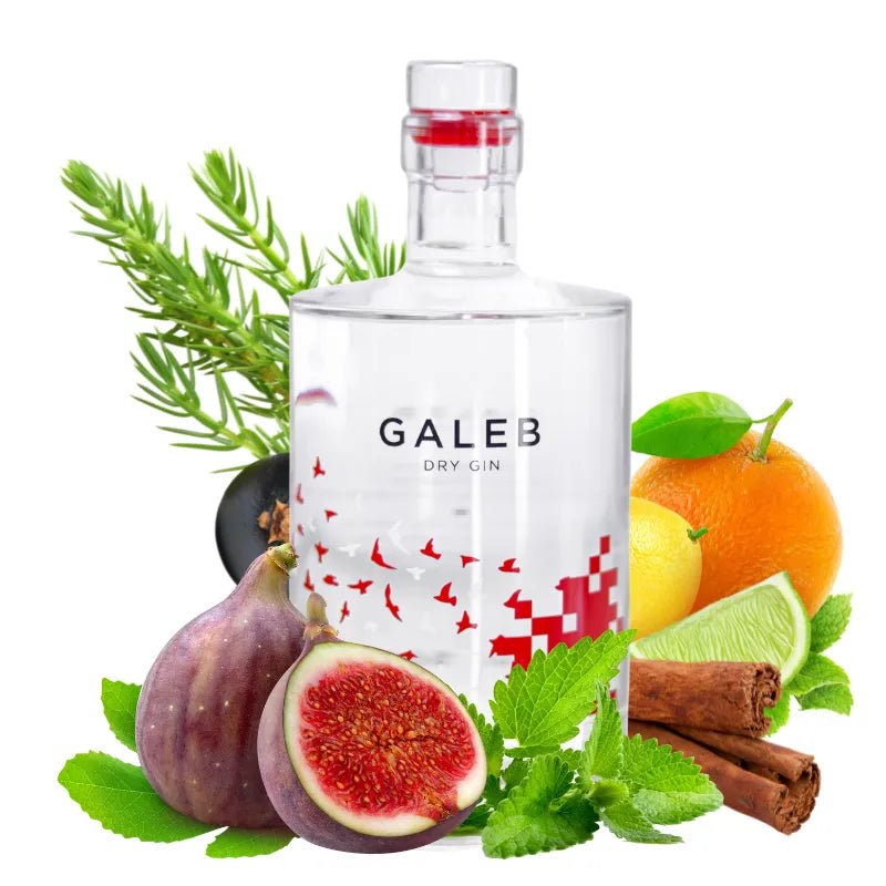Galeb Dry Gin - GiNFAMILY