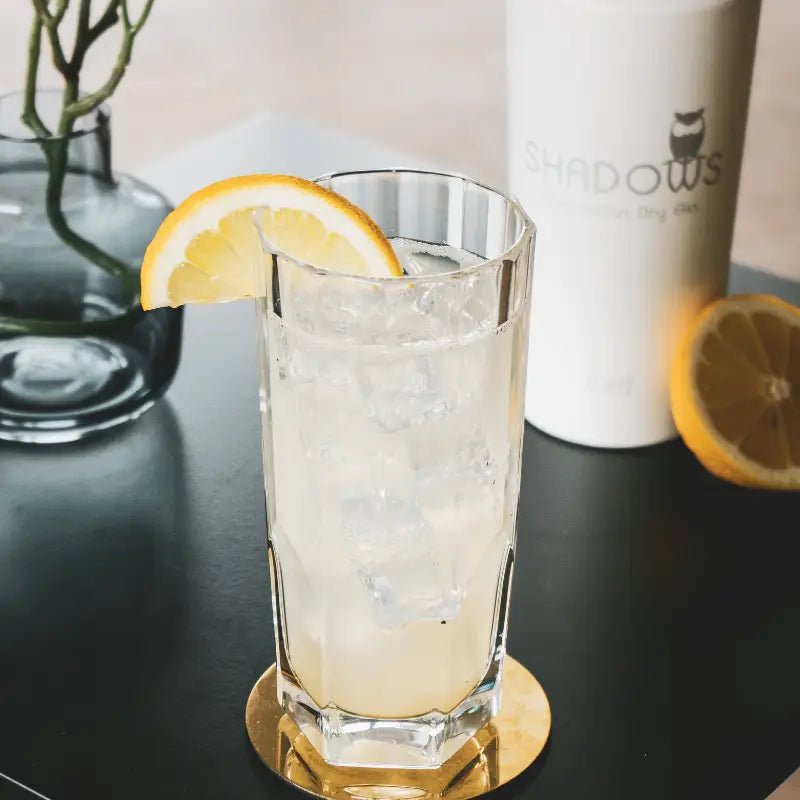 SHADOWS Franconian Dry Gin iced - GiNFAMILY