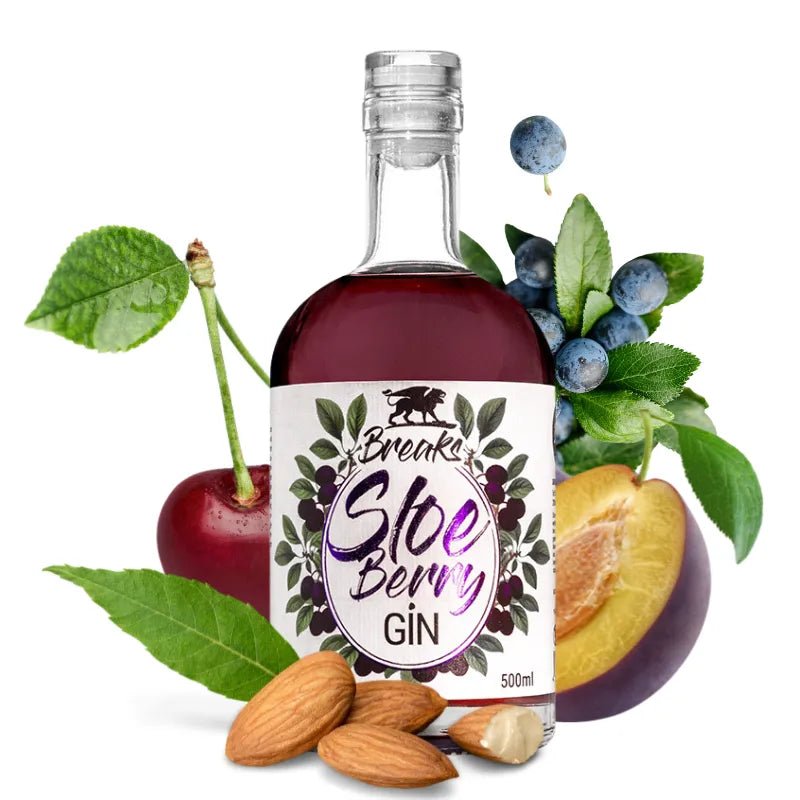 Sloe Berry Gin - GiNFAMILY