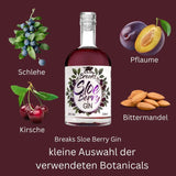 Sloe Berry Gin - GiNFAMILY