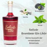Solivér Brombeere Gin Likör - GiNFAMILY