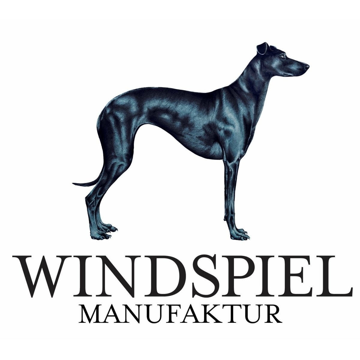 Windspiel Premium Dry Gin Distillers Cut 2020 - GiNFAMILY